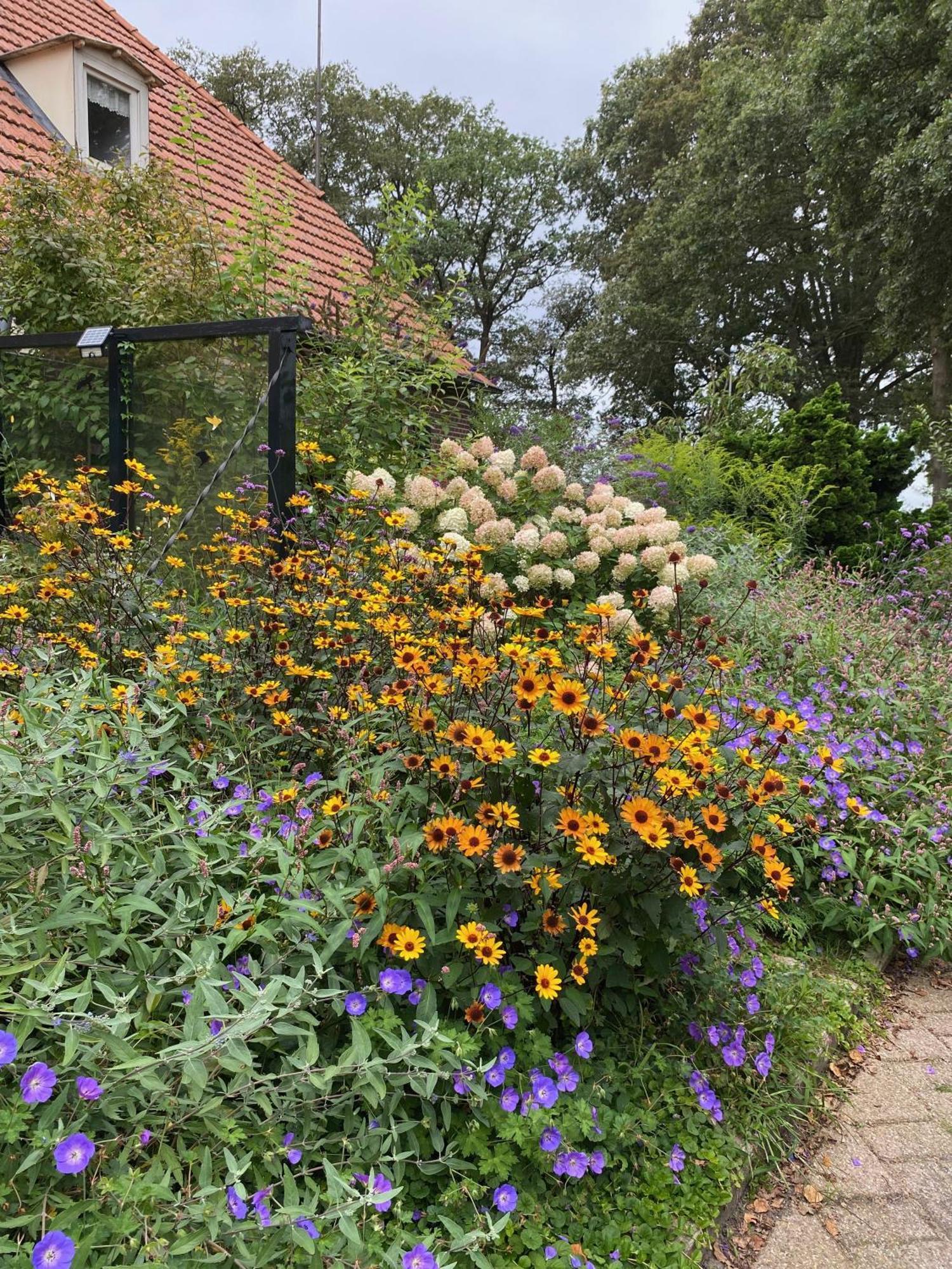 De Viersprong Bed & Breakfast Laren  Exterior photo